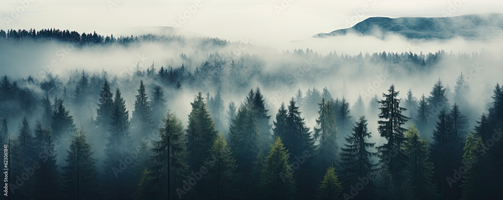 Fototapeta premium Misty foggy mountain with green forest and copyspace for your text.
