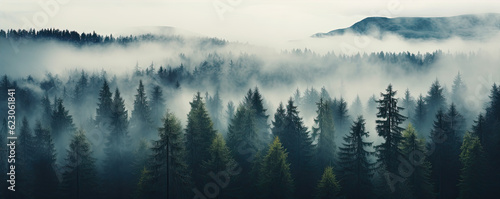 Misty foggy mountain with green forest and copyspace for your text.