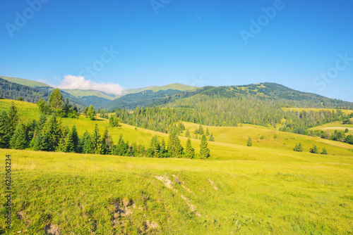 carpathian countryside with grassy meadows. summer landscape in mountains. rural scenery at the foot of borzhava ridge of ukraine