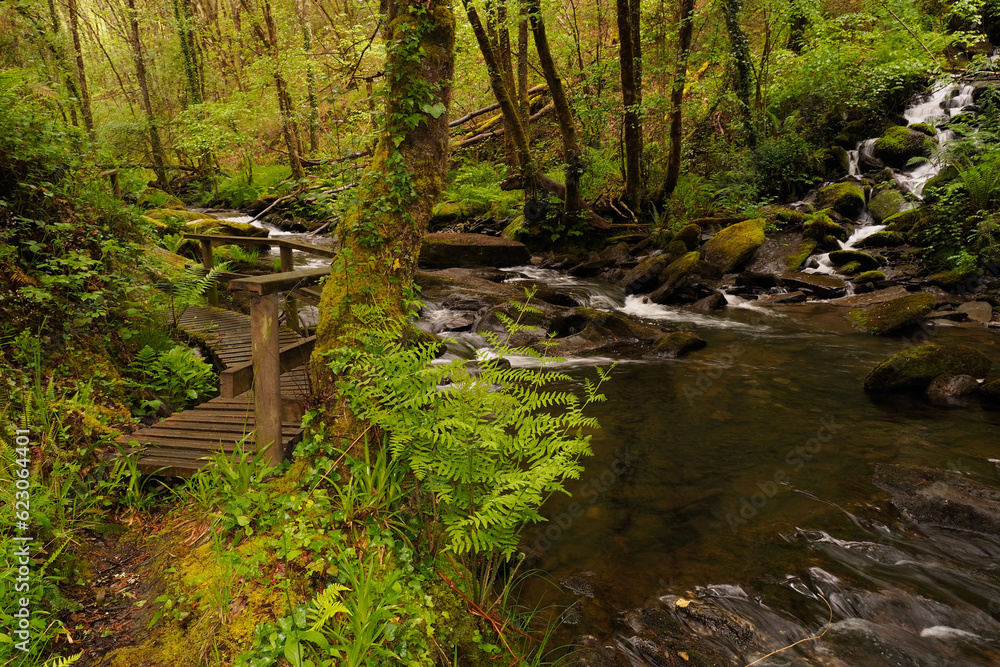 A wooden walkway over a rocky river in an autumn mossy forest. A wooden walkway over a rocky river in an autumn mossy forest.