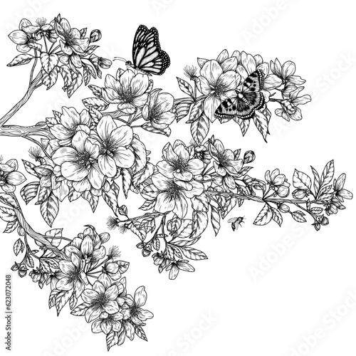 Vector illustration of a branch of a blossoming apple tree with butterflies in the style of engraving