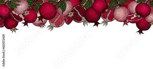 Pomegranate banner. Pomegranate plant branch with fruits. Vintage Pomegranates border. Hand drawn ink style fruit background. Pomegranate tree, ripe fruit. Rosh hashanah print.Textile, fabric  texture
