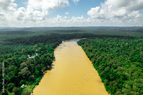 Les arbres de la forêt tropicale humide dense et sous les effet de la deforestation prés de la riviere Kinabatangan (vue aerienne en drone) sur l'ile de Borneo Malaisie