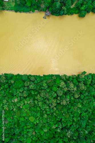 Les arbres de la forêt tropicale humide dense et sous les effet de la deforestation prés de la riviere Kinabatangan (vue aerienne en drone) sur l'ile de Borneo Malaisie