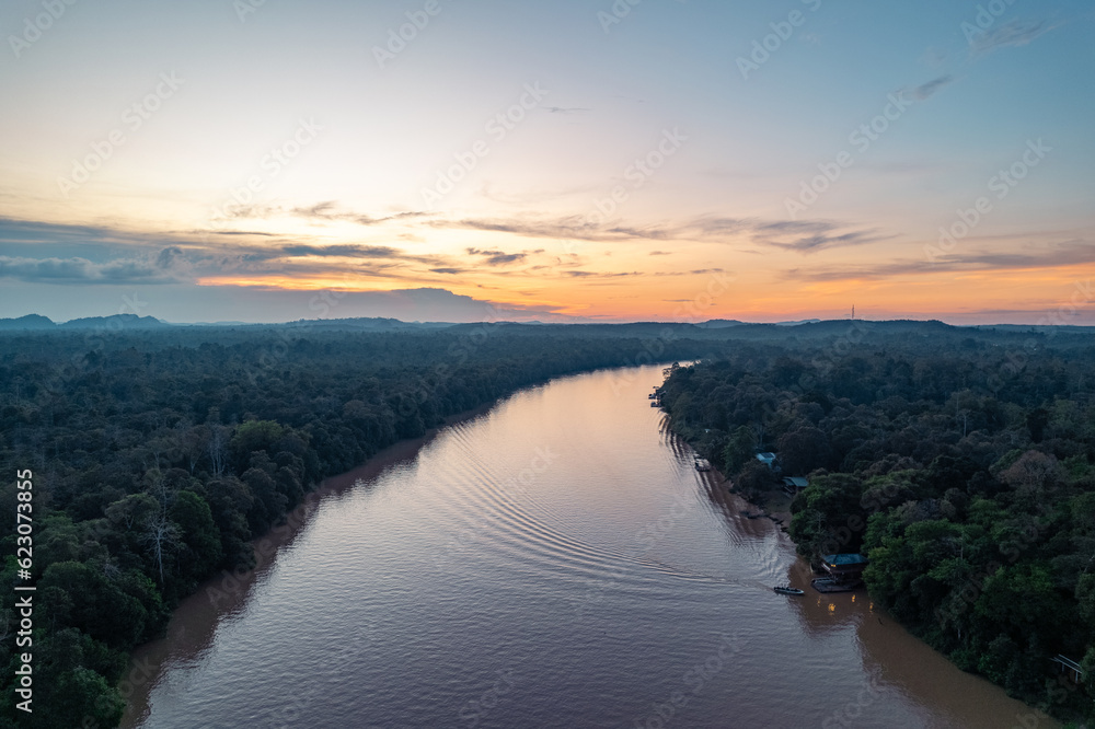Les arbres de la forêt tropicale humide dense et sous les effet de la deforestation prés de la riviere Kinabatangan (vue aerienne en drone) sur l'ile de Borneo Malaisie