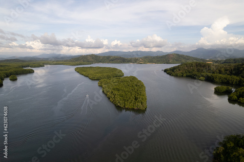 Les arbres de la forêt tropicale humide dense et sous les effet de la deforestation prés de la riviere Kinabatangan (vue aerienne en drone) sur l'ile de Borneo Malaisie