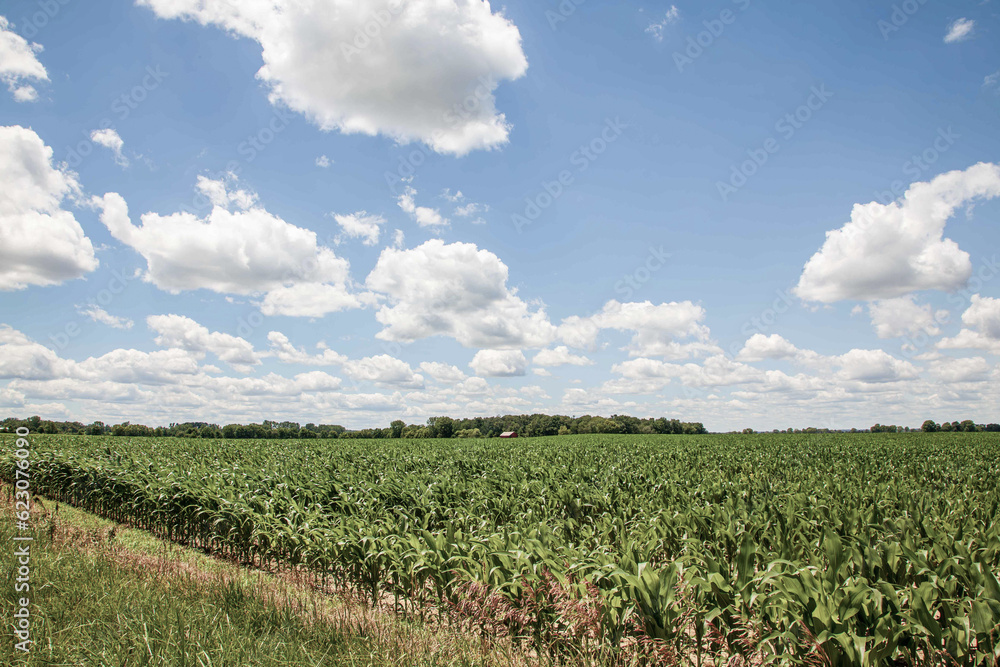 Country landscape with beautiful cloudy summer sky