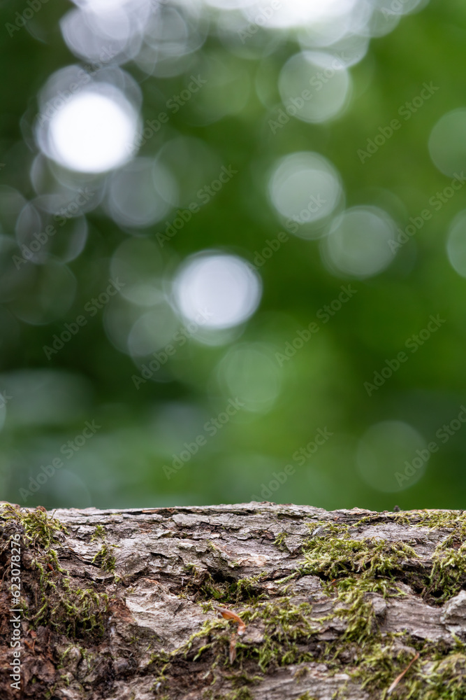 Product display concept of natural, moss trunk at blur green meadow with trees in park, bokeh background in summer
Product display concept of natural, moss trunk at blur green meadow with trees in park, bokeh background in summer