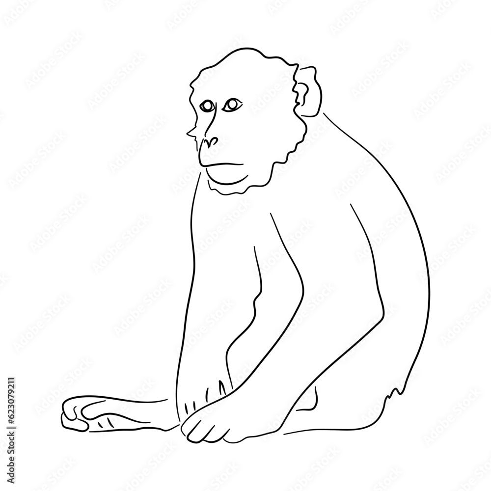Sketch drawing of a monkey isolated on a white background. Vector illustration. Sketch drawing of a monkey isolated on a white background. Vector illustration.