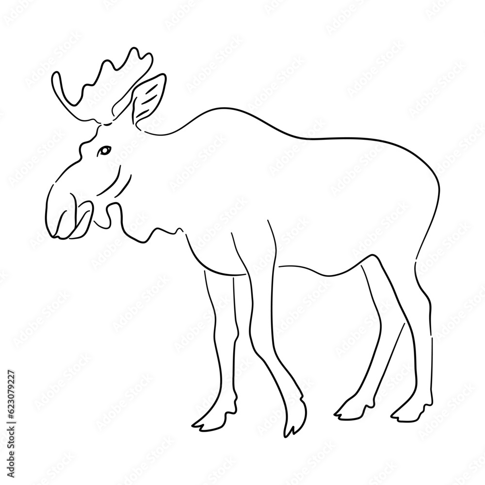 Sketch drawing of a Moose isolated on a white background. Vector illustration.