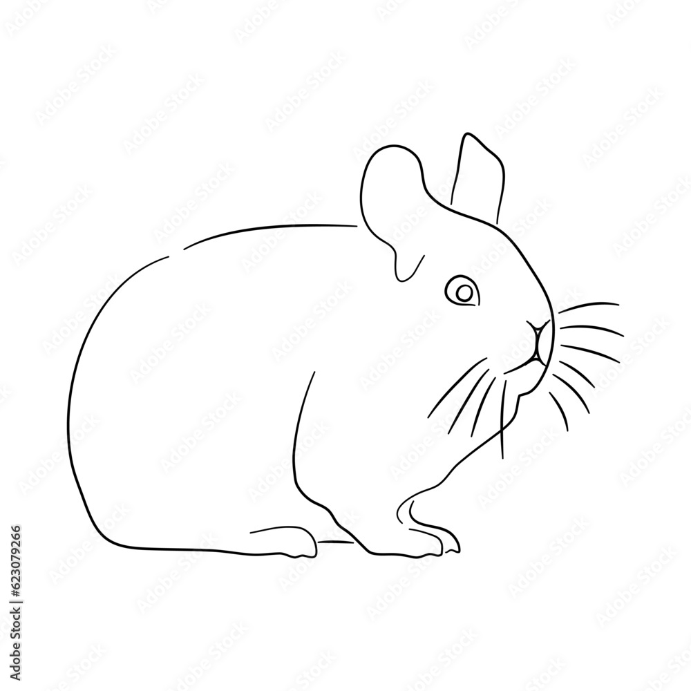 Sketch Chinchilla Drawn By Hand Vector Stock Vector (Royalty Free)  2303232391 | Shutterstock