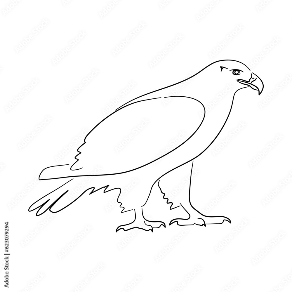 Obraz premium Eagle illustration in doodle style. Vector isolated on a white background.