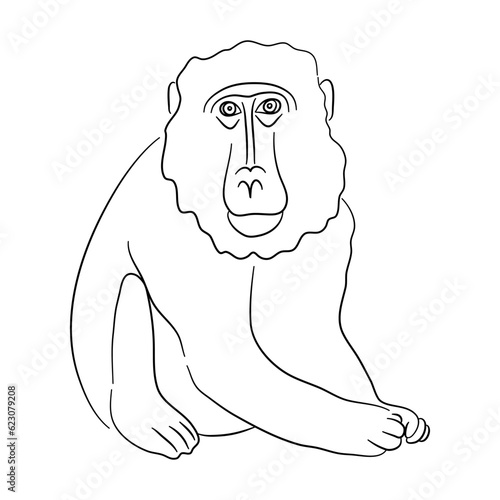 Sketch drawing of a Baboon isolated on a white background. Vector illustration.