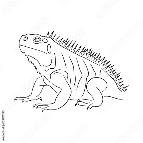 Iguana illustration in doodle style. Vector isolated on a white background.