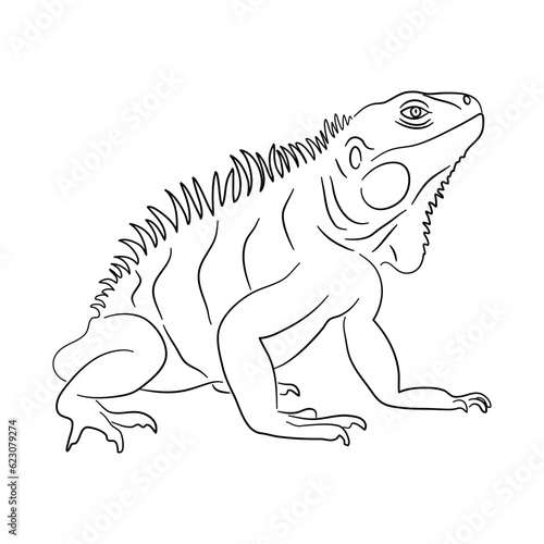 Sketch drawing of a Iguana isolated on a white background. Vector illustration.