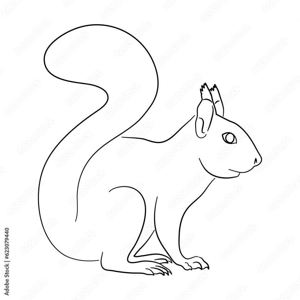 Squirrel illustration in doodle style. Vector isolated on a white background. Squirrel illustration in doodle style. Vector isolated on a white background.