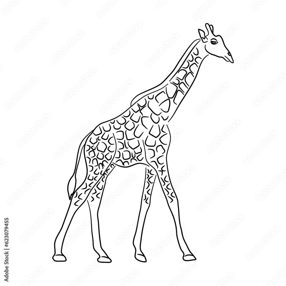 Giraffe illustration in doodle style. Vector isolated on a white background. Giraffe illustration in doodle style. Vector isolated on a white background.
