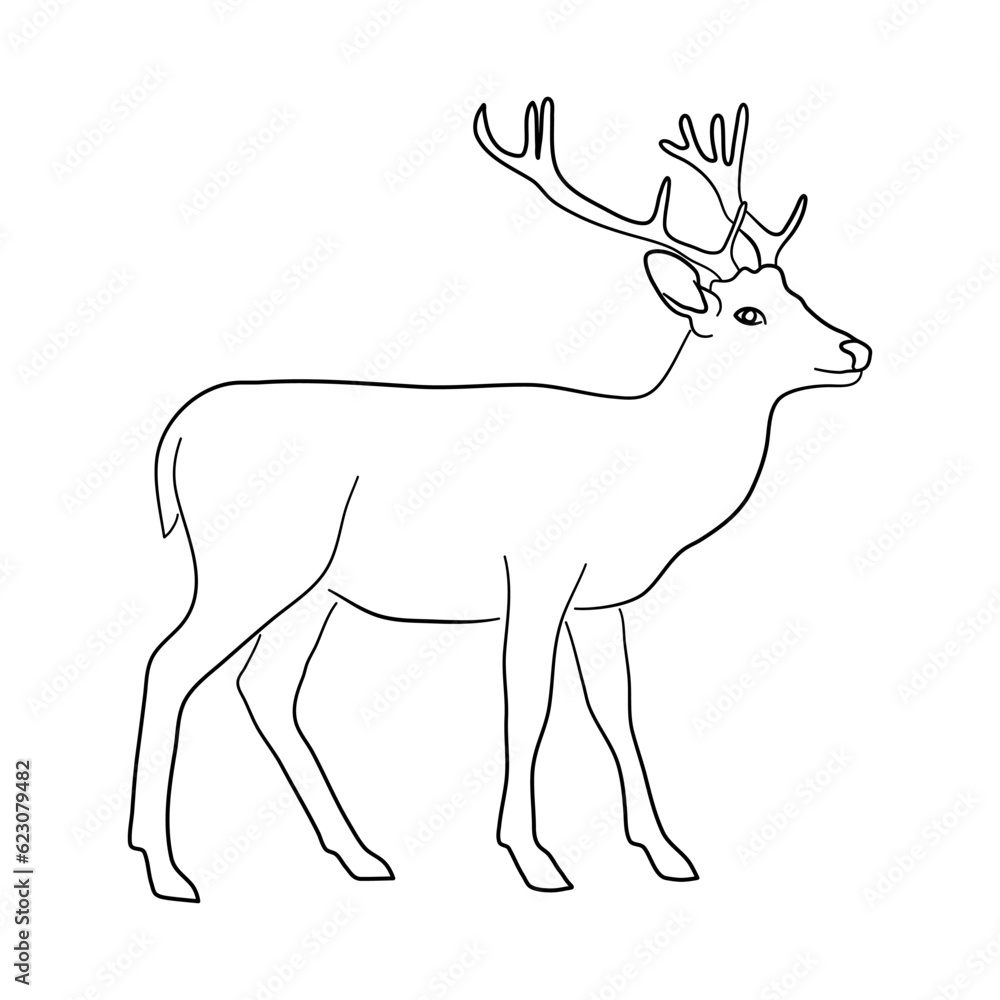 Deer illustration in doodle style. Vector isolated on a white background.