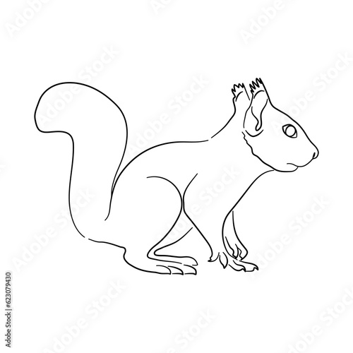 Sketch drawing of a Squirrel isolated on a white background. Vector illustration.