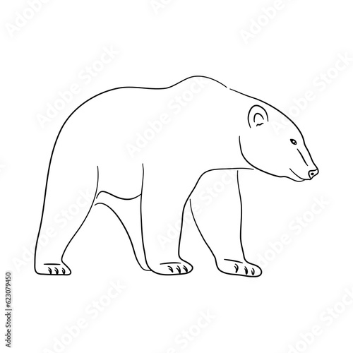 Polar Bear illustration in doodle style. Vector isolated on a white background.