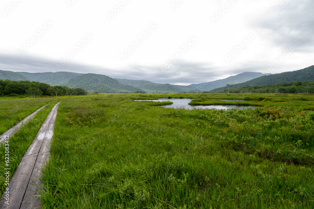 Obraz premium 夏の尾瀬