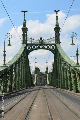 View at the liberty bridge of Budapest on Hungary