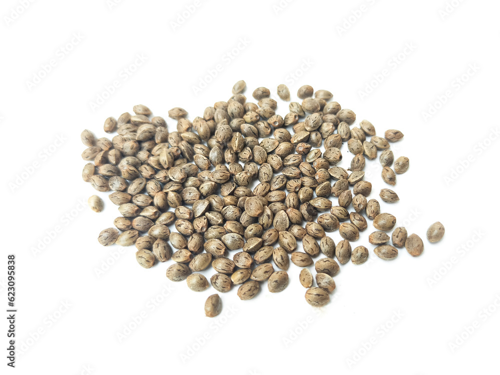 Cannabis seeds that are ready to be planted and bred. placed on a white background. Cannabis seeds that are ready to be planted and bred. placed on a white background.