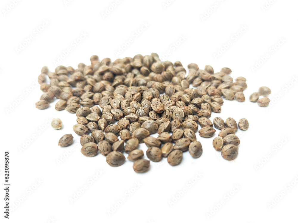 Cannabis seeds that are ready to be planted and bred. placed on a white background. Cannabis seeds that are ready to be planted and bred. placed on a white background.
