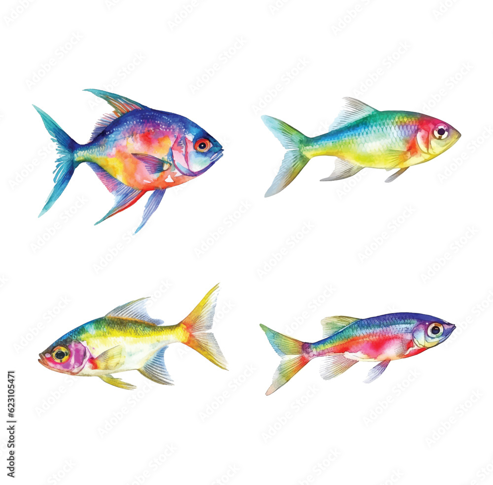 Neon Tetra fish watercolor paint Neon Tetra fish watercolor paint