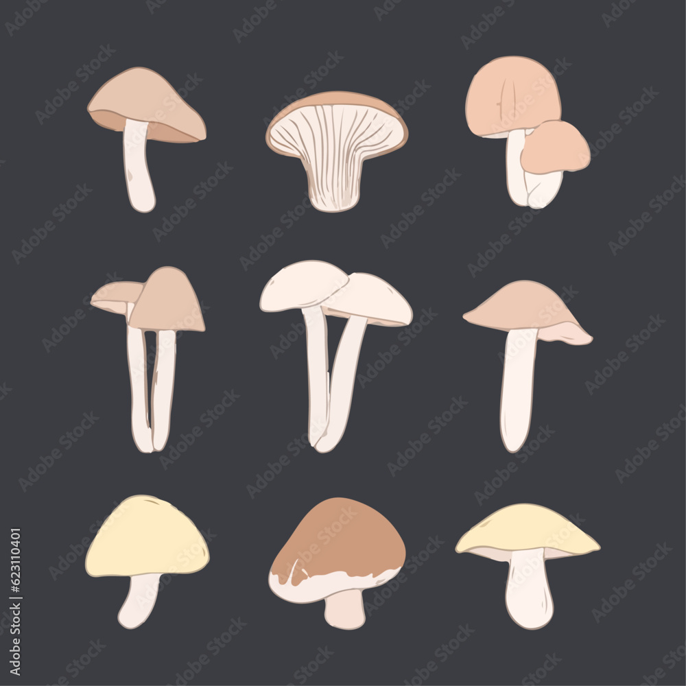 Set of Mushrooms Hand Drawn Watercolor Vector Illustration