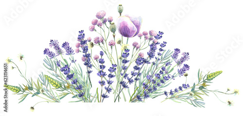 Lavender  wild flowers  floral elements  lilac flowers. Stock illustration on a white background. Hand painted in watercolor.