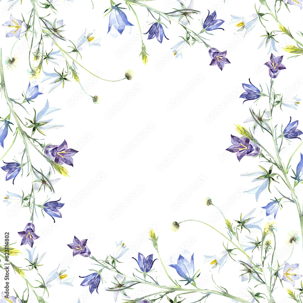 Blue and white campanula frame, wild flowers, floral elements. Stock illustration on a white background. Hand painted in watercolor.