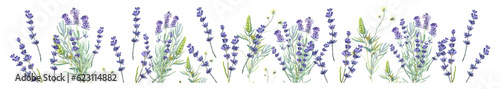 Fototapeta Naklejka Na Ścianę i Meble -  Lavender boarder, wild flowers, floral elements, lilac flowers,  Butterfly. Stock illustration on a white background. Hand painted in watercolor.