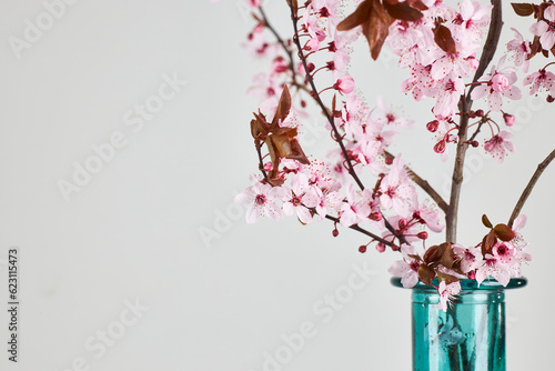 cherry blossom decoration on a neutral background