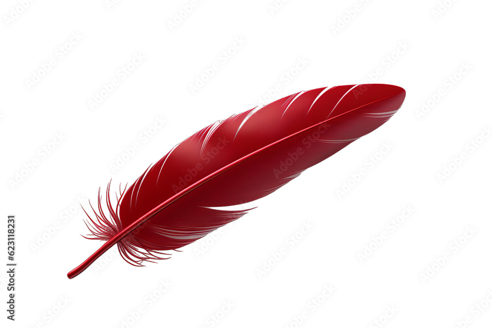 red feather isolated on white red feather isolated on white