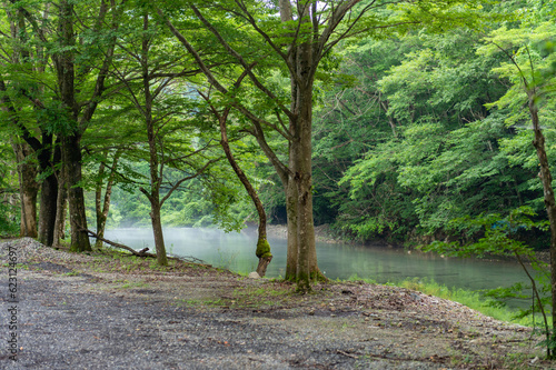 新緑の清流