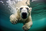 polar bear swimming underwater. Generative ai
