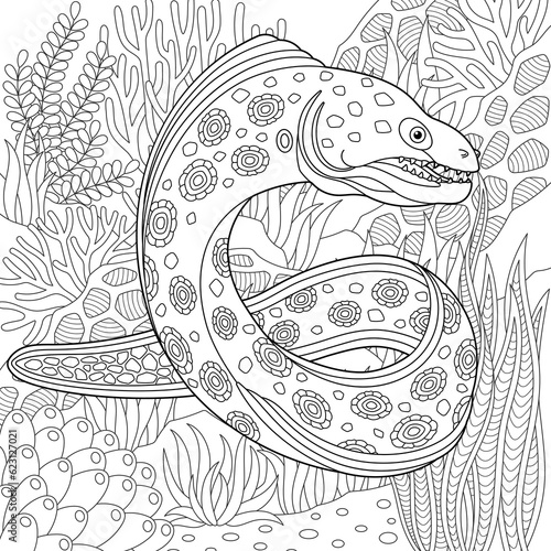 Photography Moray eel coloring page