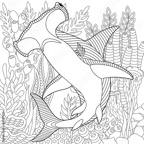 Photography Hammerhead shark coloring page