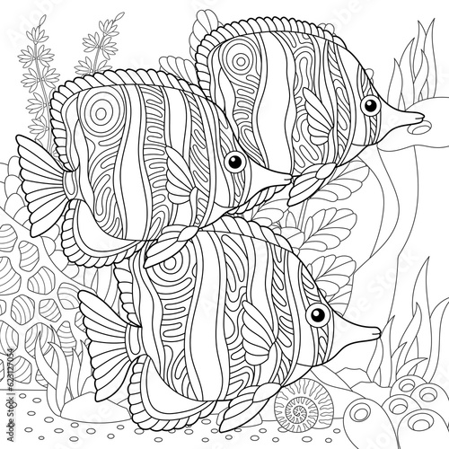 Butterflyfish fishes coloring page. Outline sea design in mandala and zentangle style