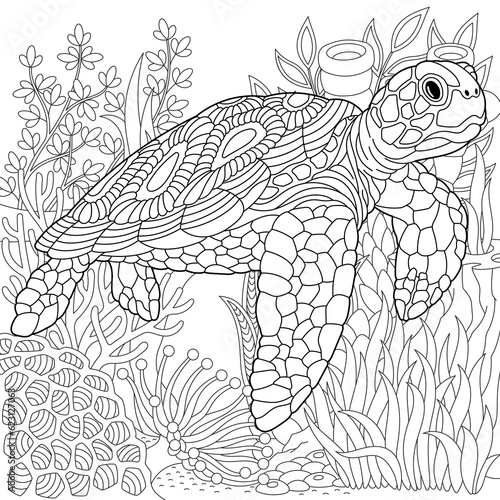 Turtle coloring page. Outline sea design in mandala and zentangle style