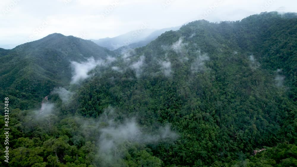 Aerial view of a forest in the lush green rain cloud cover tropical rain forest mountain during the rainy season in the northern Thailand.