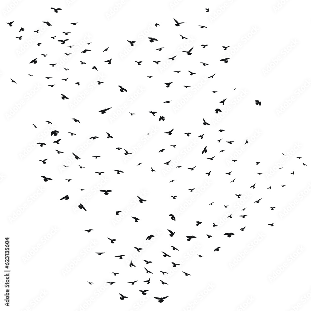 Sketch drawing of a silhouette of a flock of birds flying forward, cling together. Takeoff, flying, flight, flutter, hover, soaring, landing Sketch drawing of a silhouette of a flock of birds flying forward, cling together. Takeoff, flying, flight, flutter, hover, soaring, landing