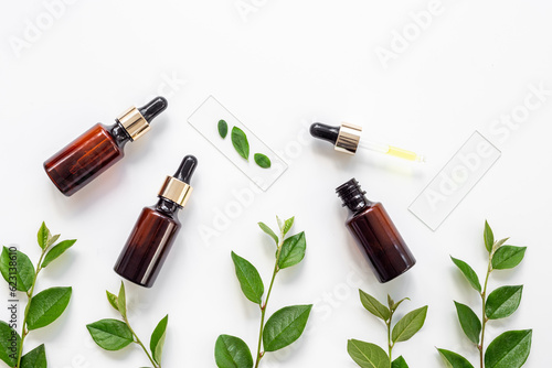 Medical herbs cosmetic background - face serum essential oil in bottle