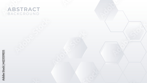 Abstract white gray hexagon background. Minimal modern digital, futuristic, technology, sciens, concept background. Vector illustration