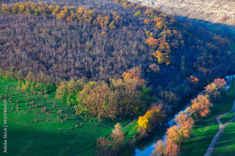 Aerial view of the river and forest in autumn