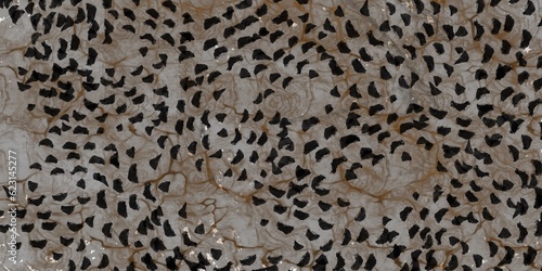 leopard skin texture wooden texture abstract background image surface vintage live animated amazing soft eye pace color image paint art fabrics tattoo