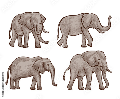 brown Elephant  vector illustration with shading consisting of three images