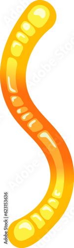 Jelly Gum Worm Candy