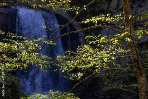 Fototapeta Naklejka Na Ścianę i Meble -  Looking Glass Falls, North Carolina, United States